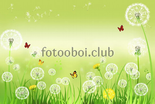 одуванчики, поле, трава, бабочки, дизайнерские